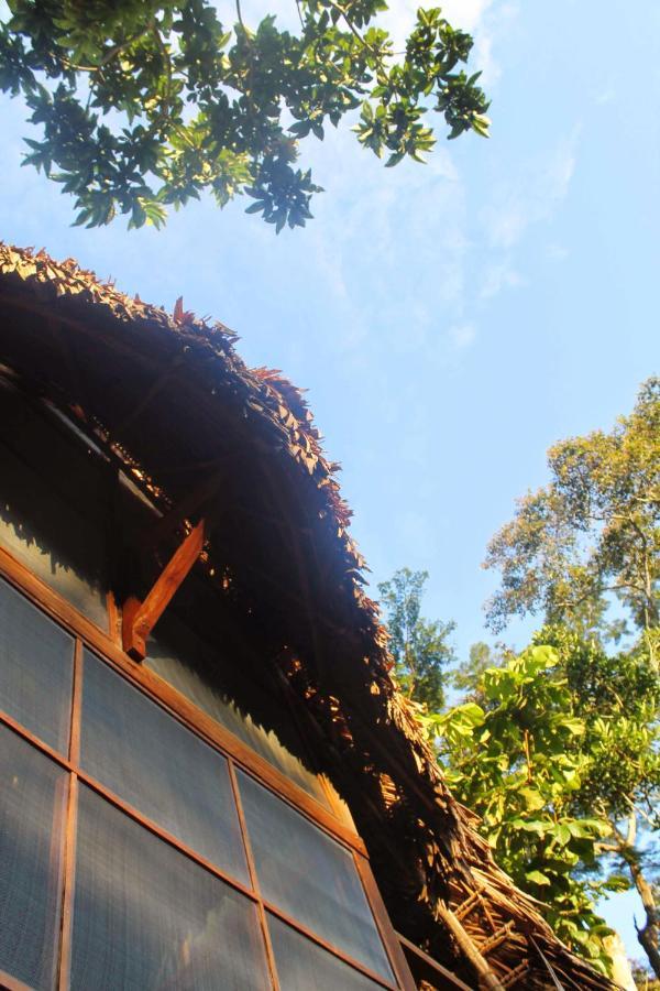 Shimiyacu Amazon Lodge Тарапото Экстерьер фото