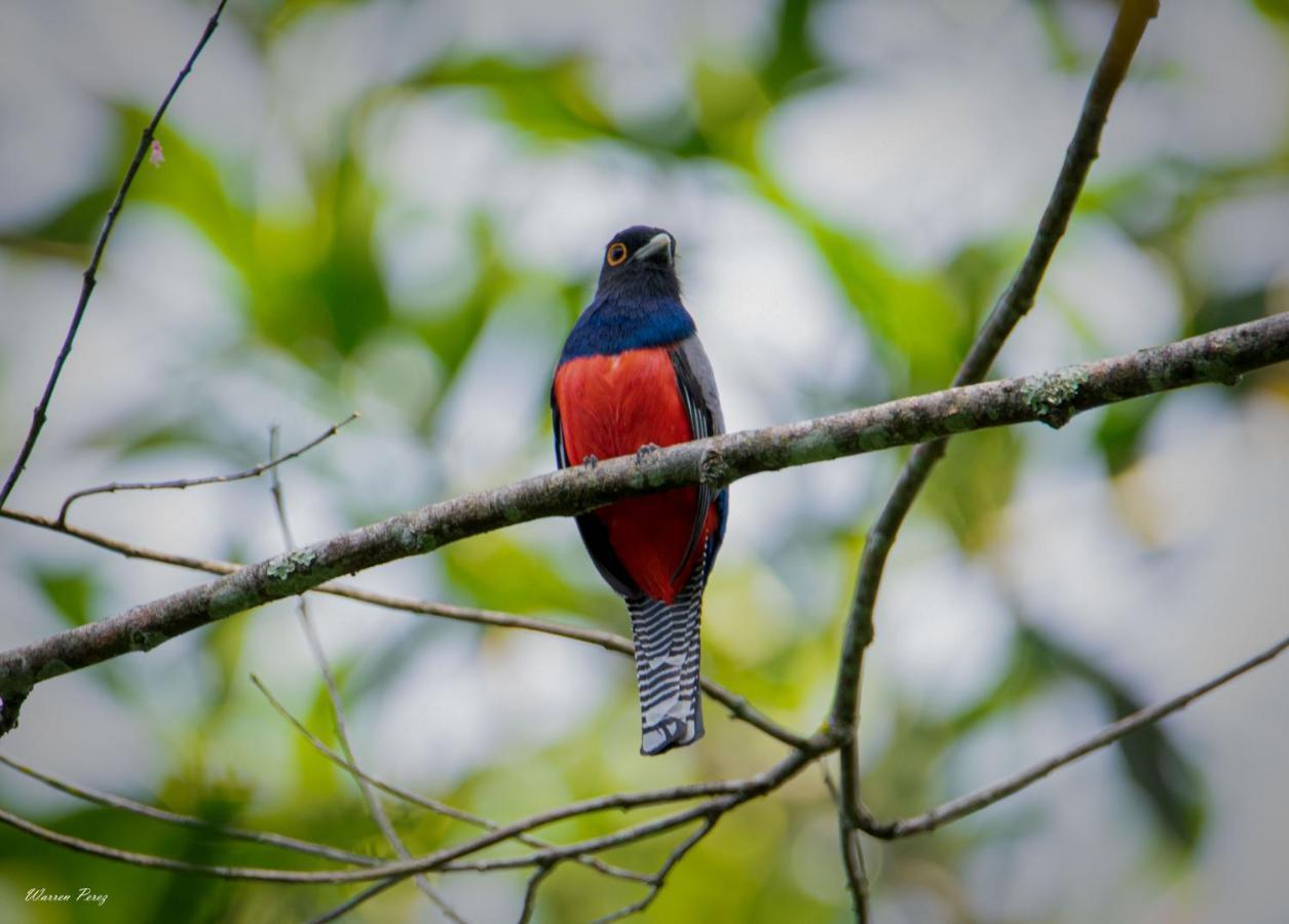 Shimiyacu Amazon Lodge Тарапото Экстерьер фото